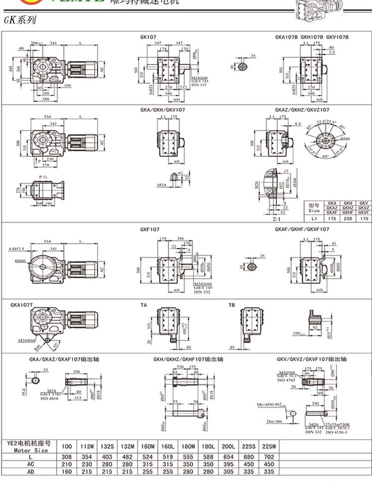 TK108傘齒輪減速電機(jī)圖紙